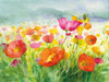 Meadow Poppies Poster Print by Danhui Nai - Item # VARPDX34345