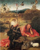 St John The Baptist In The Wilderness Poster Print by Hieronymus Bosch - Item # VARPDX372609