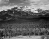 Trees in foreground, snow covered mountain in background, in Rocky Mountain National Park, Colorado, Poster Print by Ansel Adams - Item # VARPDX460960