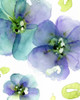 Blue Flowers Poster Print by Dawn Derman - Item # VARPDXD1009D