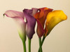 Four calla lilies Poster Print by Assaf Frank - Item # VARPDXAF20100731033