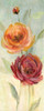 Sweet Poppies II Poster Print by Carol Robinson - Item # VARPDX18444