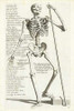 Anatomical diagram showing human skeleton, front view, with legends Poster Print by Hieronymus Bollmann - Item # VARPDX454963