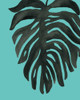 Tropical Palm II BW Turquoise Poster Print by Wild Apple Portfolio - Item # VARPDX33297