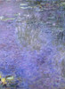 Water Lilies: Morning, c. 1914-26 Poster Print by Claude Monet - Item # VARPDX394121