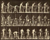 Motion Study: Woodwork Poster Print by Eadweard Muybridge - Item # VARPDX474184
