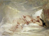 Reclining Nude Poster Print by Charles Chaplin - Item # VARPDX281857