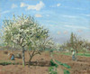 Orchard in Bloom, Louveciennes, 1872 Poster Print by Camille Pissarro - Item # VARPDX459382