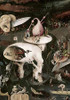 Garden of Earthly Delights - Detail #8 Poster Print by Hieronymus Bosch - Item # VARPDX276793