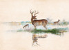 Misty Deer Poster Print by Ruane Manning - Item # VARPDX17623