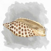 Shells on Grey I Poster Print by Tara Reed - Item # VARPDXRB11909TR