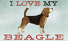 Beagle Canoe Co v3 Poster Print by Ryan Fowler - Item # VARPDX35285