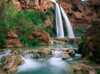 Havasu Creek, lined with Cottonwood trees, Havasu Falls, Grand Canyon, Arizona Poster Print by Tim Fitzharris - Item # VARPDX397216