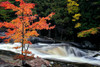 Autumn, Lower Rosseau Falls Poster Print by David W. Pollard - Item # VARPDXP1123D