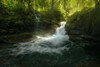 Stream of Life Poster Print by Enrico Fossati - Item # VARPDXF651D