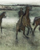 Race Horses Poster Print by Edgar Degas - Item # VARPDX394094 Race Horses Poster Print by Edgar Degas - Item # VARPDX394094