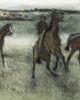 Race Horses Poster Print by Edgar Degas - Item # VARPDX394094