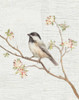 Black Capped Chickadee Vintage v2 Poster Print by Danhui Nai - Item # VARPDX32264