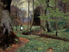 The Woodland Path Poster Print by Hans Anderson Brendekilde - Item # VARPDX267778