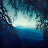 Blue Morning Poster Print by Dirk Wuestenhagen - Item # VARPDXW884D