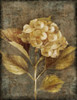 Antique Hydrangea I Poster Print by Lanie Loreth - Item # VARPDX8485B