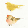 Watercolor Birds I Sq Poster Print by Shirley Novak - Item # VARPDX32647
