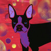 Bubbly Boston Poster Print by Angela Bond