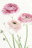 Light and Bright Floral VI Poster Print by Elizabeth Urquhart - Item # VARPDX33343HR