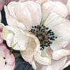 Anemone Study III Poster Print by Carol Robinson - Item # VARPDX18447