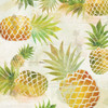 Pineapple Dance II Poster Print by Carol Robinson - Item # VARPDX19063