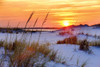 Seashore Sunset Poster Print by Mike Jones - Item # VARPDXPOD5824