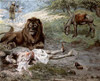 Prophet Slain By The Lion Poster Print by James Tissot - Item # VARPDX280473