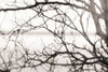 After the Rain Poster Print by Danita Delimont - Item # VARPDX18593
