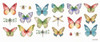Colorful Breeze Bright Butterflies and Bugs Poster Print by Lisa Audit - Item # VARPDX35931