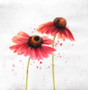 Red Daisies Poster Print by Atelier B Art Studio - Item # VARPDXBEGFLO204