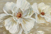 Bloomin Beauties Poster Print by Sally Swatland - Item # VARPDX17973