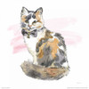 Fancy Cats II Watercolor Poster Print by Beth Grove - Item # VARPDX31495