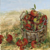 Apple Picking II Poster Print by Sally Swatland - Item # VARPDX18486