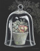 Succulent in Cloche IV Poster Print by Gwendolyn Babbitt - Item # VARPDXBAB244