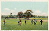 On The Golf Links Hotel Del Monte, Del Monte, Calif., 1898 Poster Print by Detroit Publishing Co. - Item # VARPDX460411