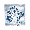 Indigo Summer Poster Print by Carol Robinson - Item # VARPDX18993