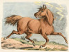 Brown Horse Running, 1817 Poster Print by Henry Thomas Alken - Item # VARPDX460403