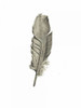 Feather I Poster Print by Anne Waltz - Item # VARPDXWE0165