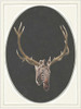 Zebradeer I Poster Print by Anne Waltz - Item # VARPDXWE0038