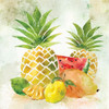 Tropical Fruit II Poster Print by Carol Robinson - Item # VARPDX18977