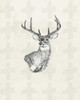 Deer Wild Ii Poster Print by Anne Waltz - Item # VARPDXWE0047