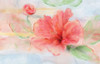 Hibiscus Poster Print by Nan - Item # VARPDX18920
