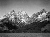 Grassy valley and snow covered peaks, Grand Teton National Park, Wyoming, 1941 Poster Print by Ansel Adams - Item # VARPDX460790