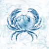 Blue Marble Coast Crab Poster Print by Nan - Item # VARPDX18986