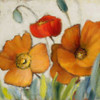 Poppy Splendor Square III Poster Print by Lanie Loreth - Item # VARPDX7958E